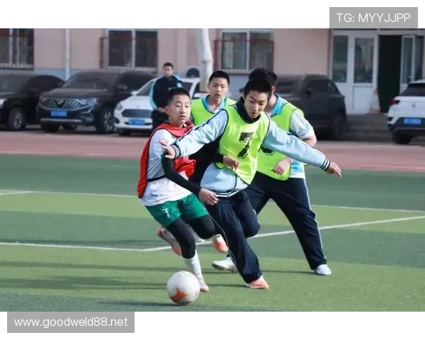 保定市青少年体育联赛（保定体育运动）sports