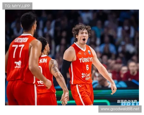 土耳其篮球联赛标志图片（土耳其篮球赛排名）sports